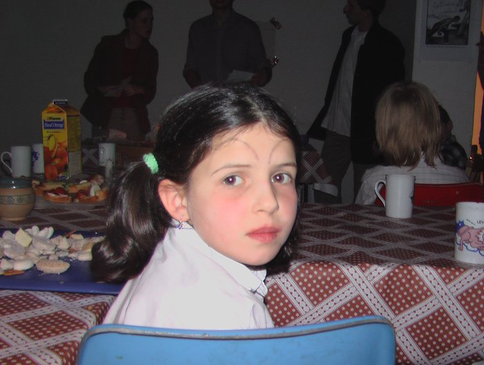 044 Expedice GEMINI 2004